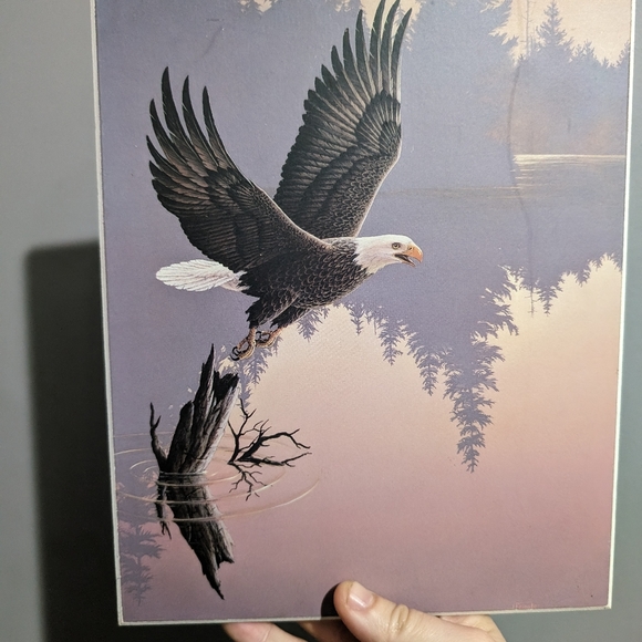 Jan Handcrafts Victoria BC Eagle wall plaque - Picture 3 of 10